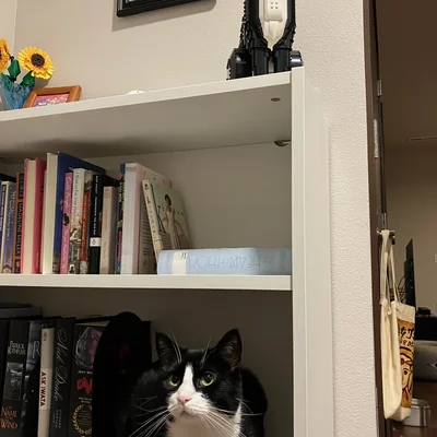 Midna